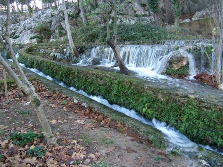 Cuevas del BecerroCasa La Puerta De Ronda公寓 外观 照片